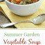 Garden Vegetable Soup