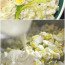 Homemade Potato Salad