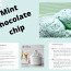 Mint Chocolate Chip