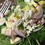 Popeye Salad